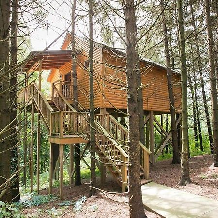 Whispering Pines Treehouse By Amish Country Lodging Миллерсберг Экстерьер фото