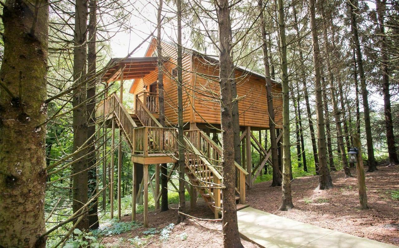 Whispering Pines Treehouse By Amish Country Lodging Миллерсберг Экстерьер фото